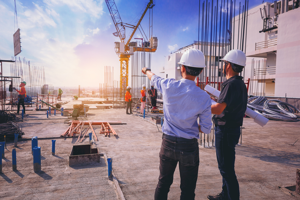 Professional construction and development support services in Dholera
